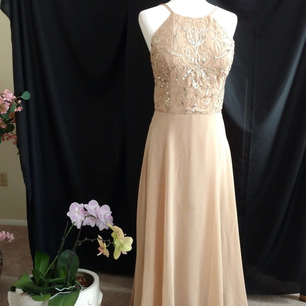 Adrianna Papell Platinum Long social Dress